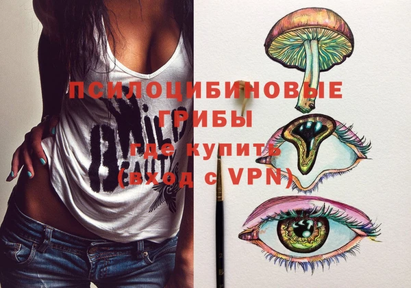 спайс Алексин