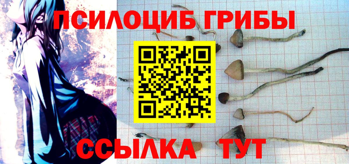 Галлюциногенные грибы Psilocybe  Псилоцибиновые грибы GOLDEN TEACHER  Вход с VPN  Белая Калитва 